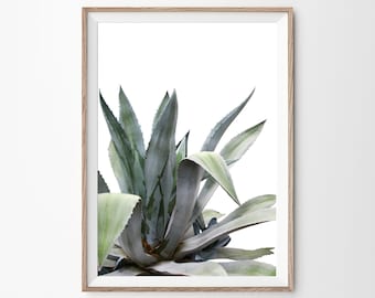 Impresiones de plantas de aloe, impresión de aloe, impresión suculenta, póster de aloe vera, decoración del desierto, impresión tropical, arte de pared del desierto, impresión botánica