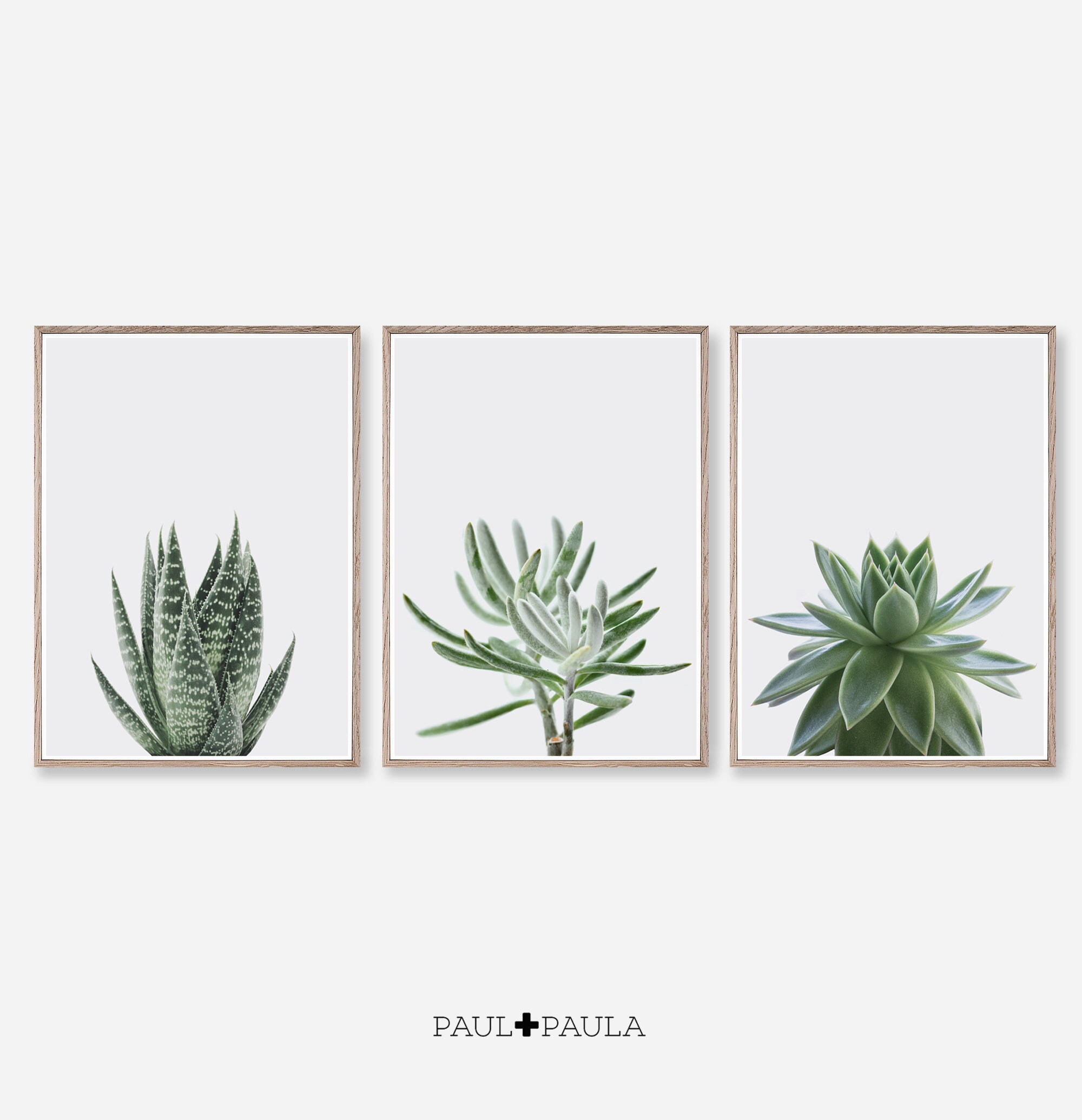 Set of 3 Prints, Succulent Prints, Plant Wall Art, Minimalist Prints ...