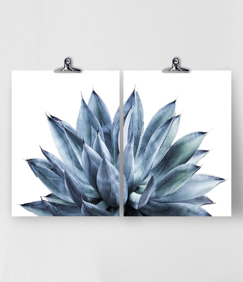 Succulent Print Blue Wall Art Print Set Succulent Prints | Etsy