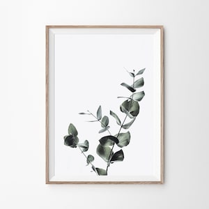 Eucalyptus Print, Leaves Print, Art Print, Eucalyptus Leaves, Prints Wall Art, Botanical Print, Digital Print, Eucalyptus Botanical Print