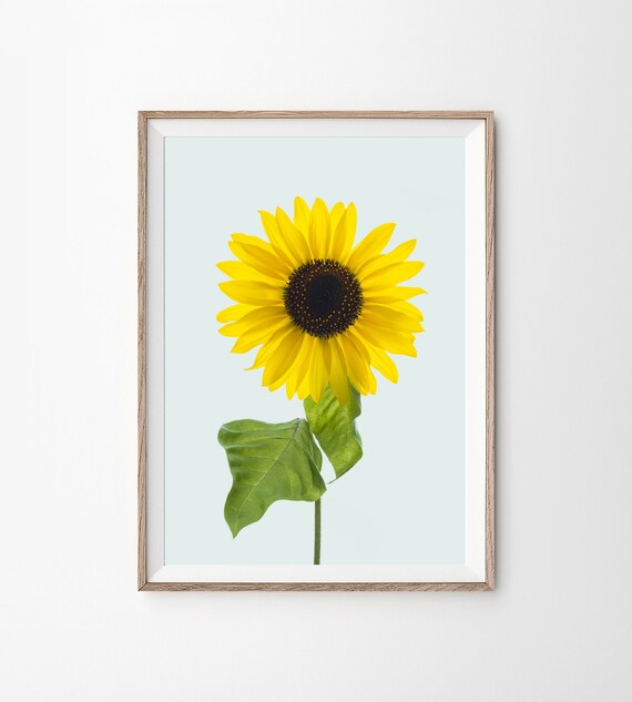 Sunflower Print Sunflower Wall Art Pastel Wall Art Nature Etsy