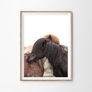 Horses of Iceland Print, Horses Wall Art, Icelandic Horses Poster, Animal Prints, Nature Lover Gift, Printable Art, Digital Download