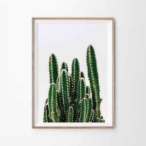 Kaktus Druck, Kaktus digitaler Download, saftig Poster, Strand HouseDecor, tropischen Druck, Kakteen Wandkunst, botanische Druck, Kaktus Druck