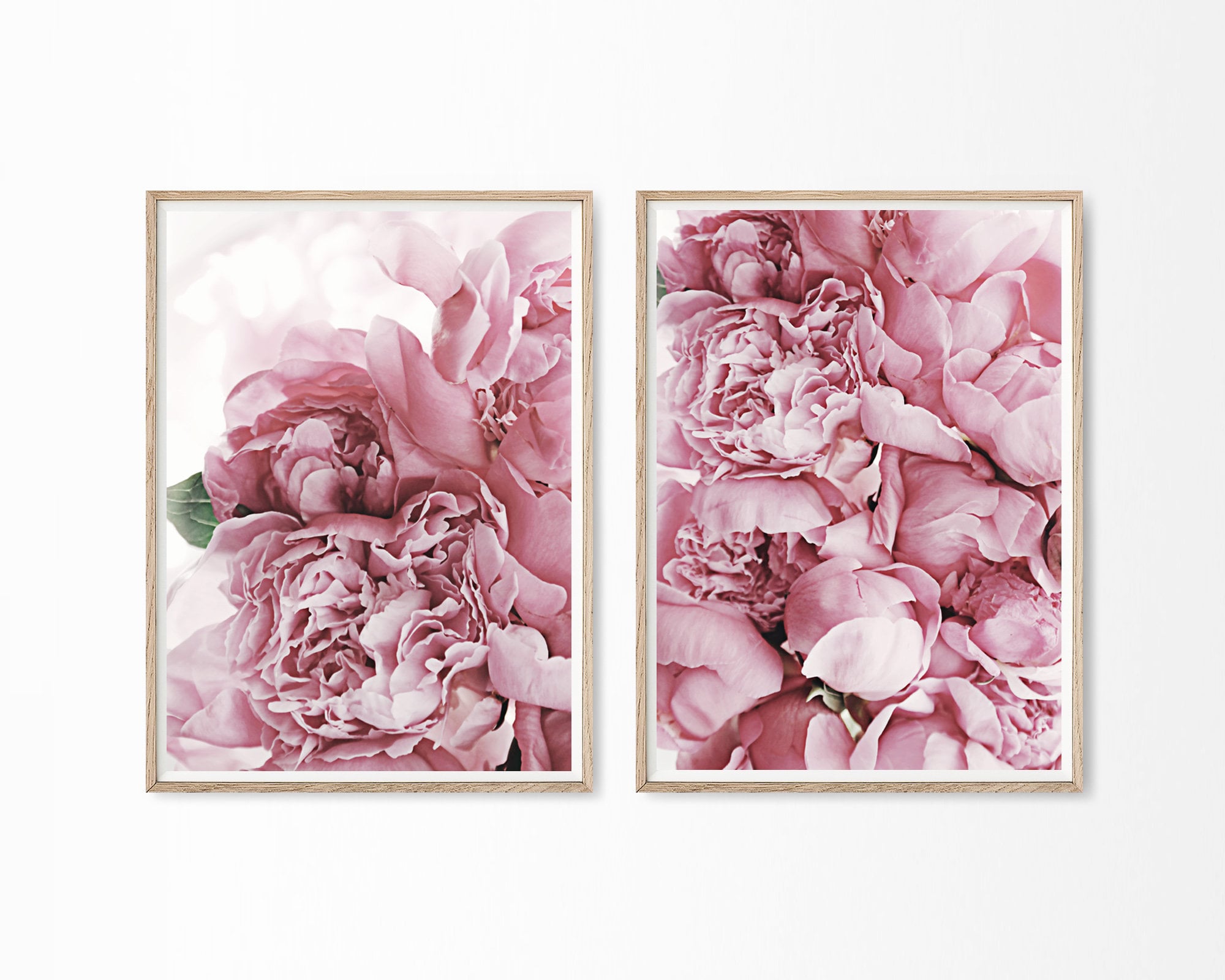 Peonies Prints, Set of 2 Prints, Printable Set, Modern Floral Wall Art ...