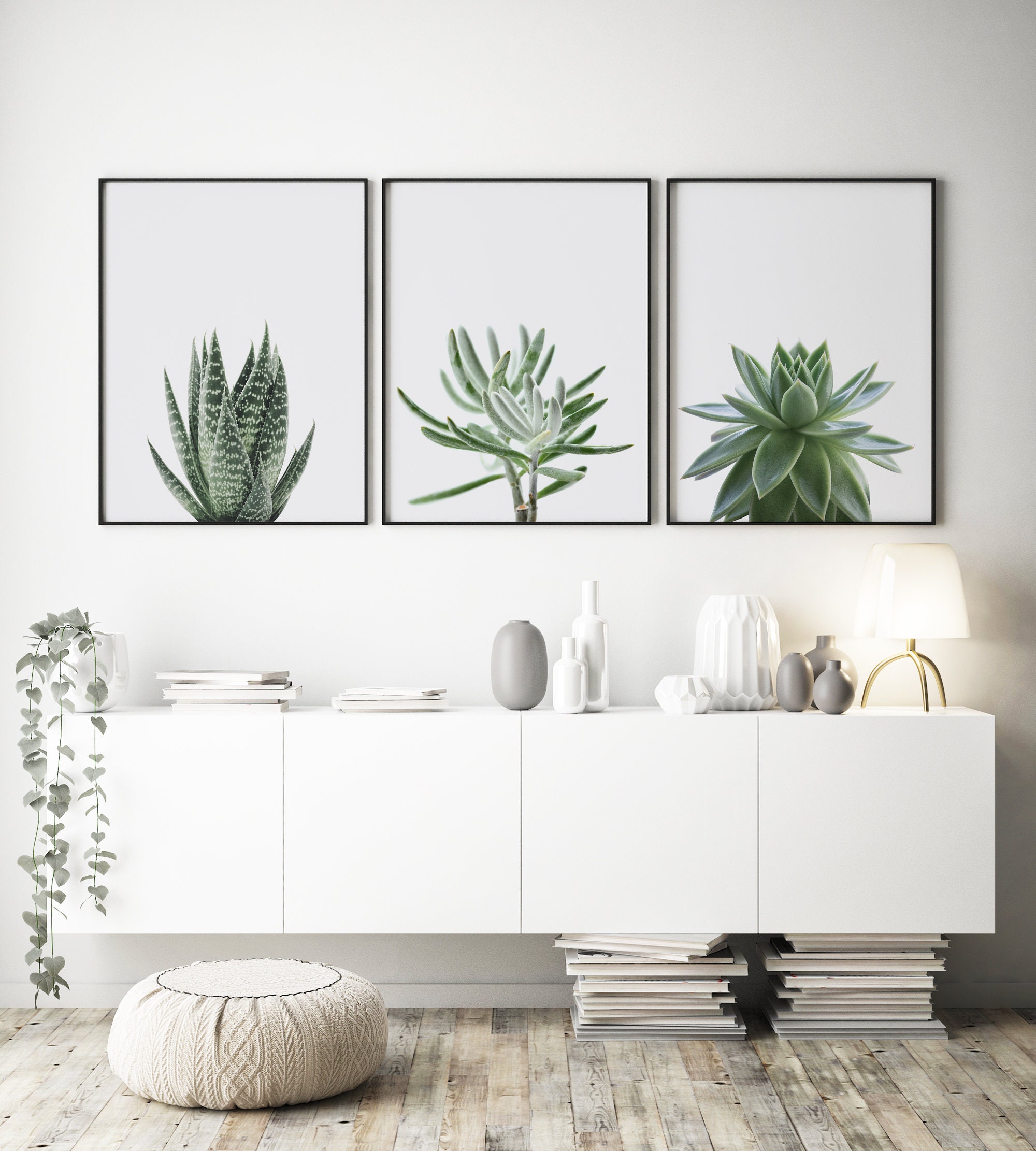Set of 3 Prints, Succulent Prints, Plant Wall Art, Minimalist Prints ...