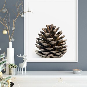 May include: A framed print of a brown pine cone on a white background. The frame is white and the pine cone is centered in the frame.