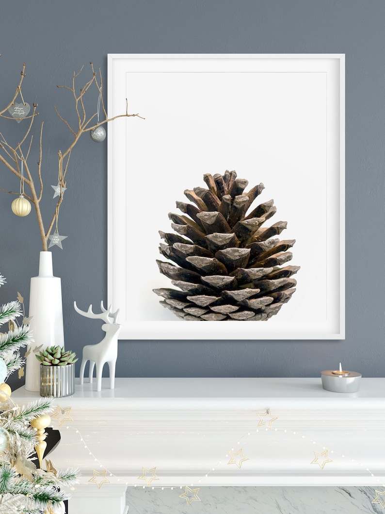 May include: A framed print of a brown pine cone on a white background. The frame is white and the pine cone is centered in the frame.