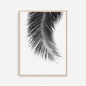 Palm Leaf Print, Black and White Prints, Leaf Print, Palm Poster, Digital Print, Palm Leaf, Digital Art Print, Black and White Wall Art