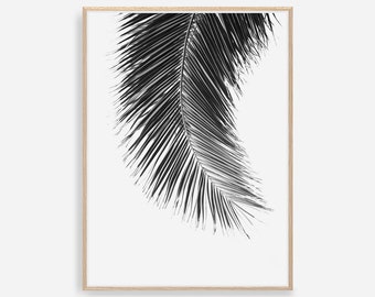 Palm Leaf Print, Black and White Prints, Leaf Print, Palm Poster, Digital Print, Palm Leaf, Digital Art Print, Black and White Wall Art