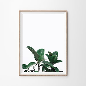 Rubber Plant Print, Tropical Leaves, Green Leaves Print, Botanical Print, Tropical Leaves, Green Print, Leaf Wall Print Art, Botanical Art