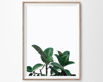 Rubber Plant Print, Tropical Leaves, Green Leaves Print, Botanical Print, Tropical Leaves, Green Print, Leaf Wall Print Art, Botanical Art