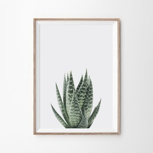 Saftig Druck, saftig Kunst, saftig Poster, saftig Dekor, tropischen Druck, saftig Wandkunst, botanische Druck, Kaktus Druck