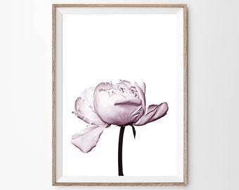 Pink Peony Print, Flower Wall Art, Digital Download, Peony Poster, Printable Art, Peony Wall Art, Flower Prints, Printable Peony, Floral Art