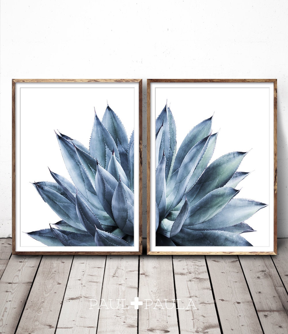 Succulent Print Blue Wall Art Print Set Succulent Prints | Etsy