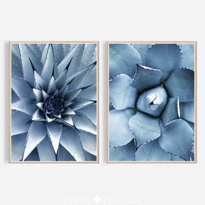 Saftiges Druck drucken 2er Set, saftig Drucke, saftig Wand Kunstdruck, Kaktus, Druck, druckbare Botanik, minimalistische Poster