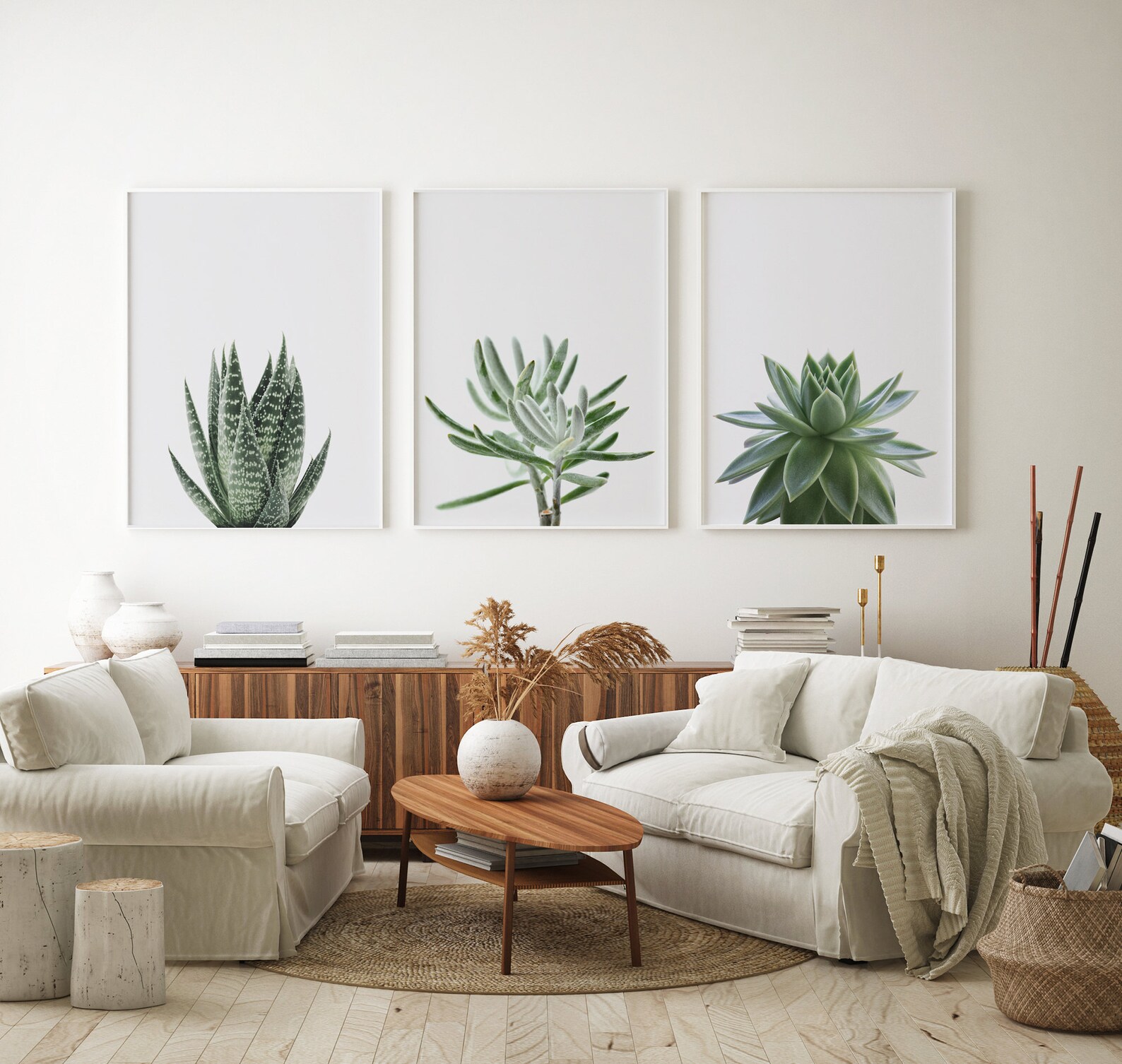 Set of 3 Prints, Succulent Prints, Plant Wall Art, Minimalist Prints ...