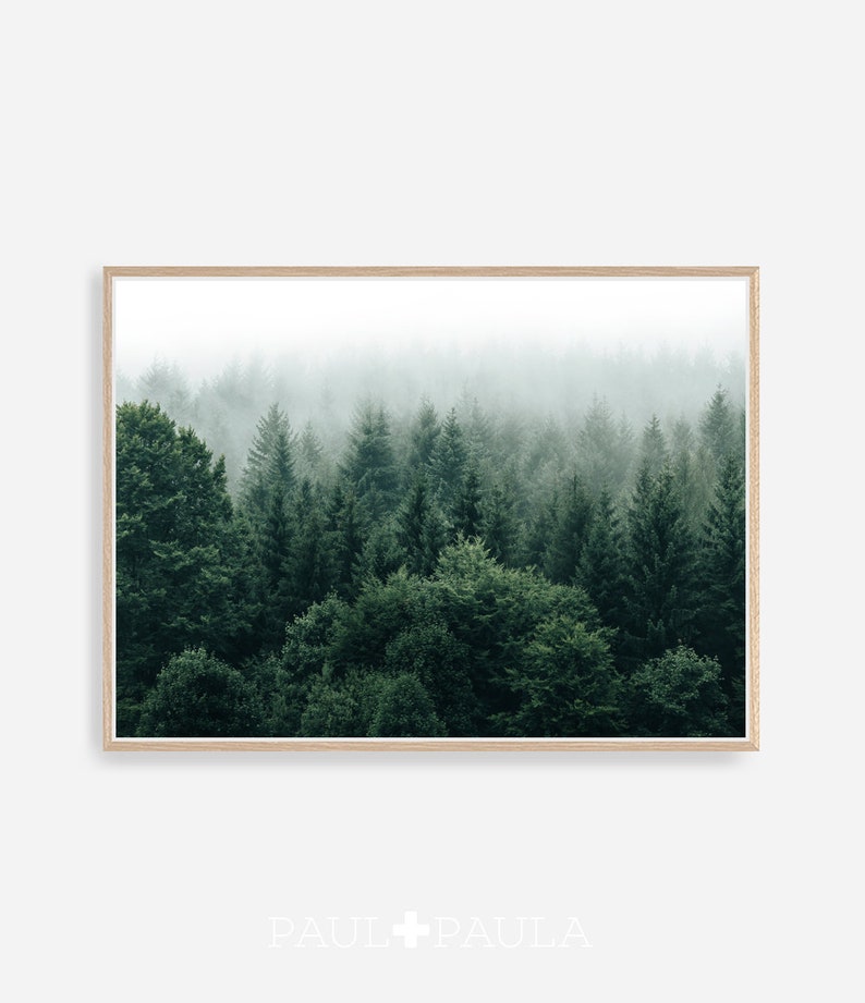 Minimalist Forest Print Minimalist Wall Art Forest Print Etsy