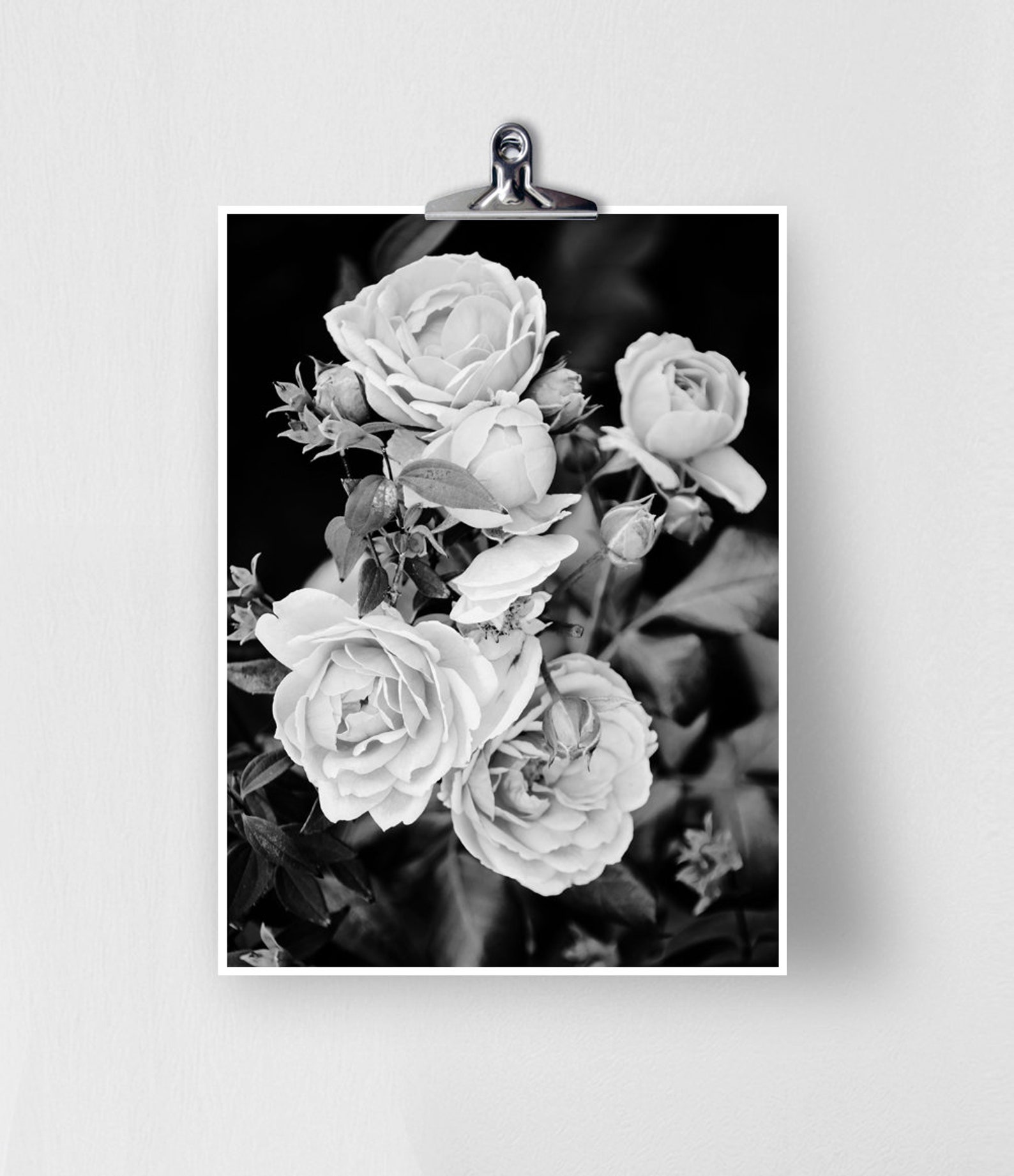 Roses Print Roses Wall Art Black and White Prints Floral Etsy