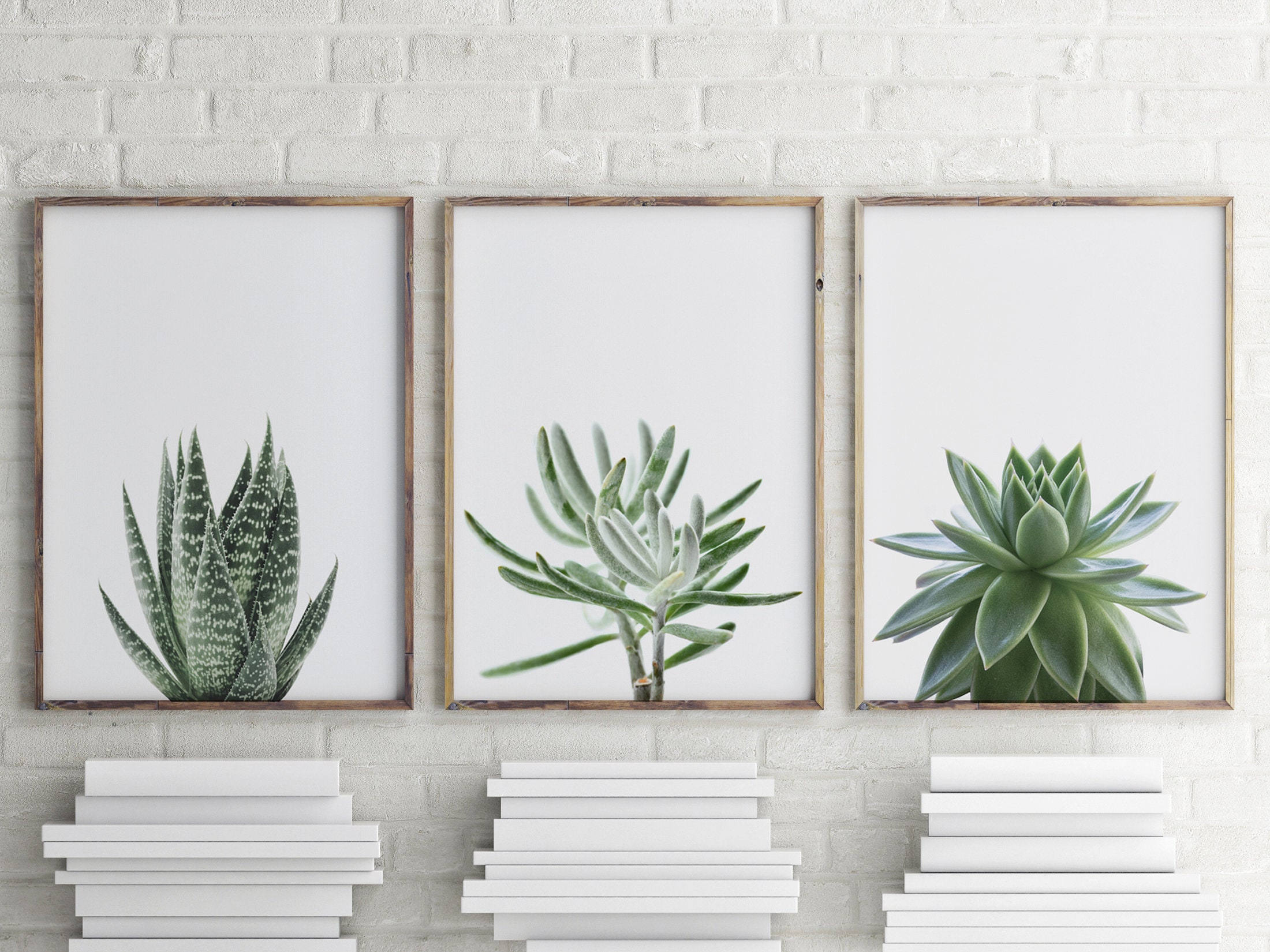 Set of 3 Prints, Succulent Prints, Plant Wall Art, Minimalist Prints ...