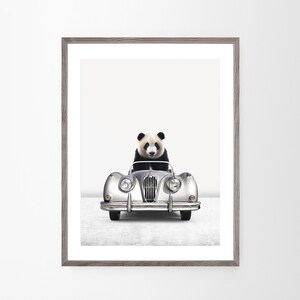 May include: Framed art print showing a panda bear driving a classic silver car. The panda is in the driver's seat, against a white backdrop. The car has a vintage design with round headlights and a chrome grill.