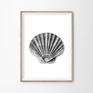 Shell Print, Sea Shell Print, Scandinavian Wall Art, Black And White,  Minimalist Prints, Beach Decor, Printable Art, Digital Download
