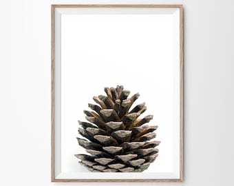 Kiefernzapfen Wandkunst, Großes druckbares Poster, skandinavisches Dekor, Weihnachtsdekoration, Modernes Zuhause