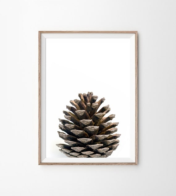 Kiefernzapfen Wandkunst, Großes druckbares Poster, skandinavisches Dekor, Weihnachtsdekoration, Modernes Zuhause