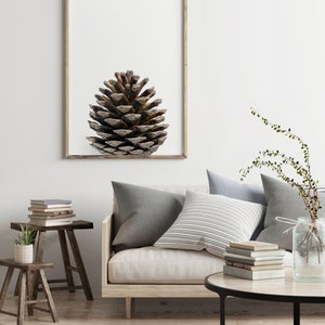 May include: A framed print of a brown pine cone on a white background. The print is hanging on a white wall above a light beige sofa with gray and white striped pillows. A small wooden table with books sits next to the sofa.