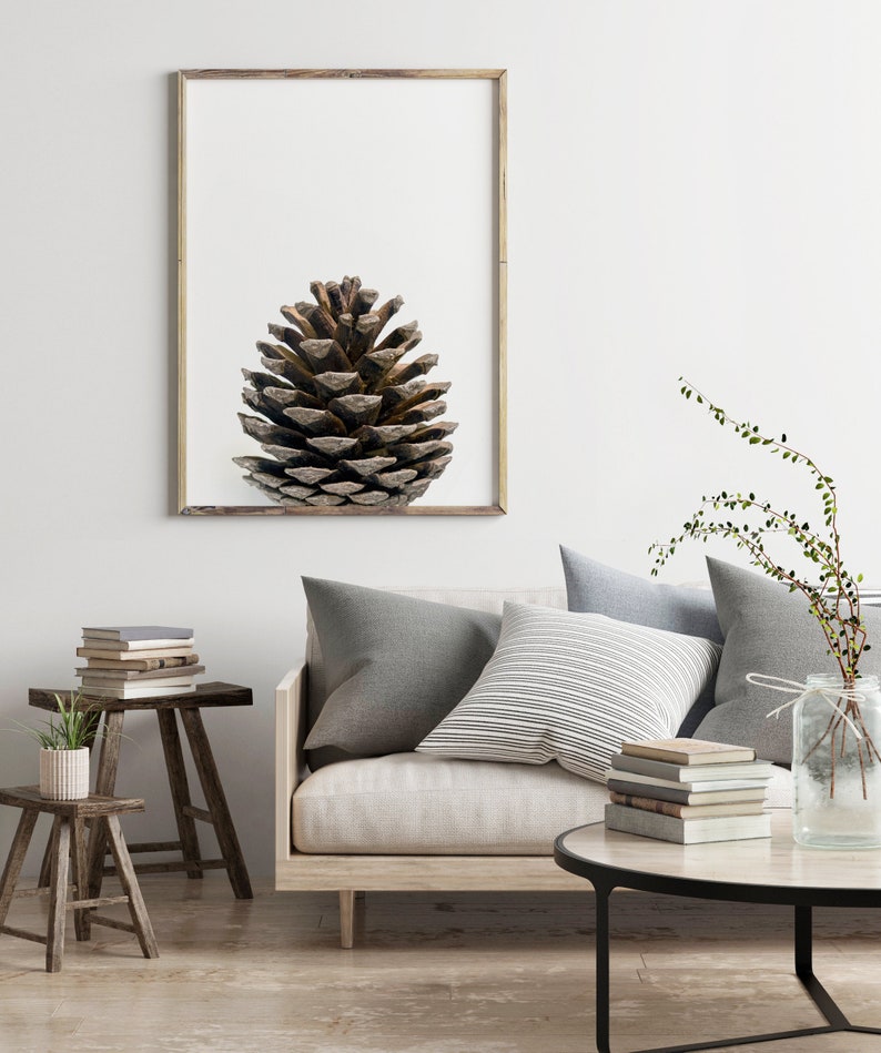 May include: A framed print of a brown pine cone on a white background. The print is hanging on a white wall above a light beige sofa with gray and white striped pillows. A small wooden table with books sits next to the sofa.