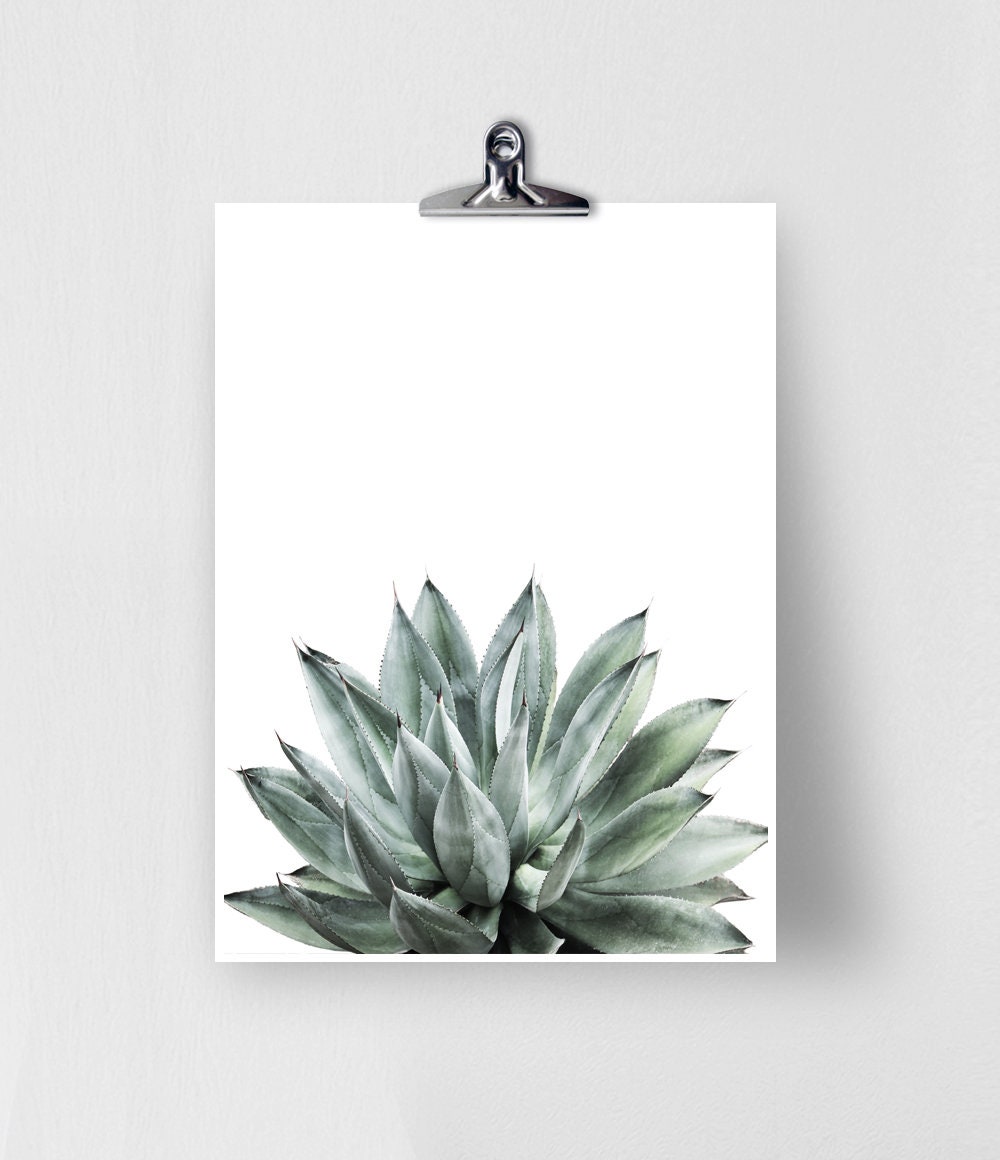 Aloe Plant Prints Aloe Print Succulent Print Aloe Vera - Etsy