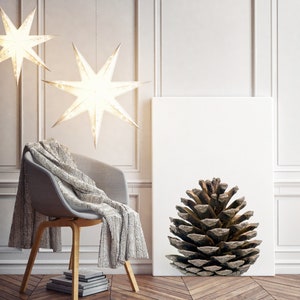 May include: A large brown pine cone on a white canvas against a white wall with a gray chair and two white paper star lanterns hanging from the ceiling.