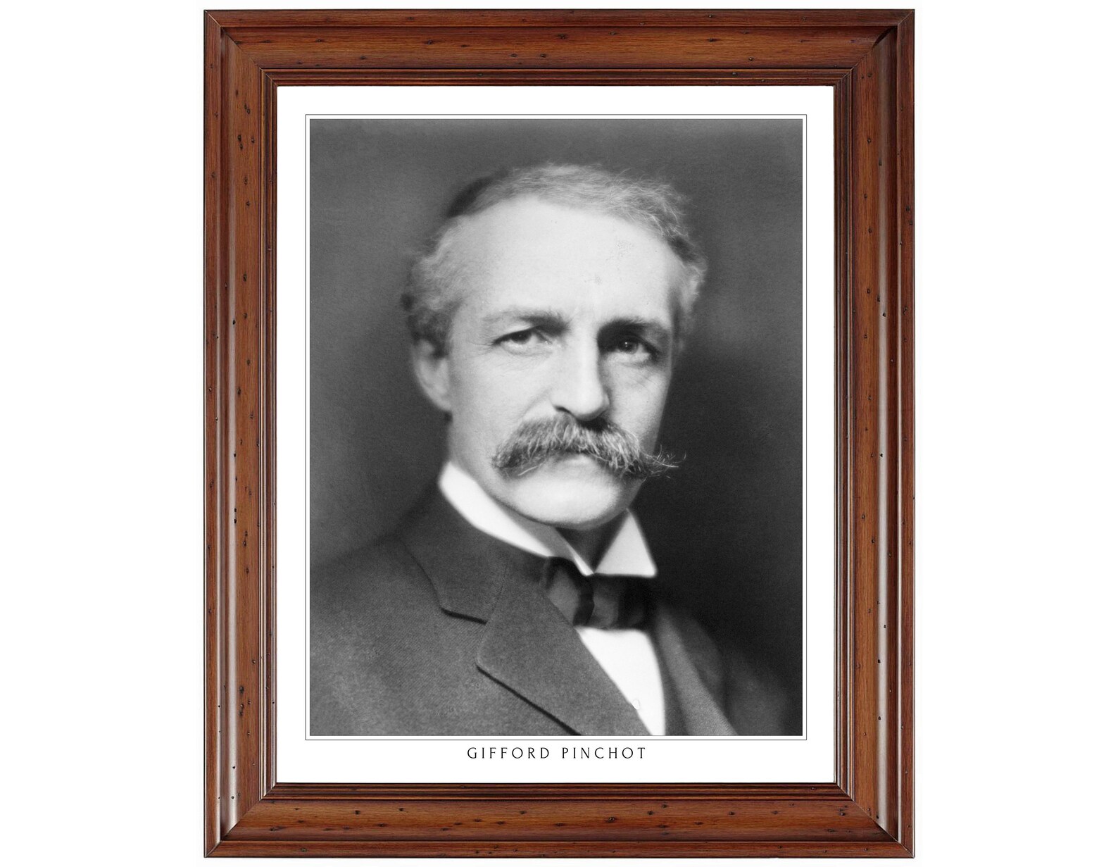 Gifford Pinchot 16 x 20 print digitally restored Etsy