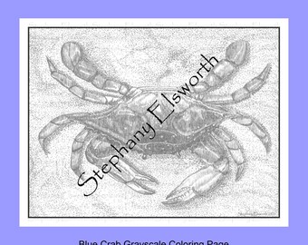Crab Coloring Page Etsy