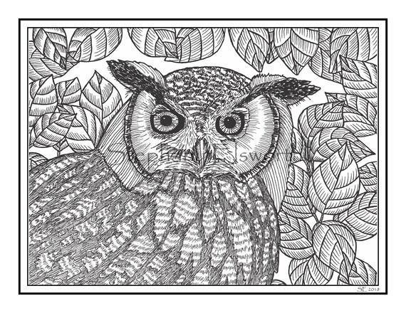 Download Great Horned Owl 8 1 2 X 11 Printable Instant Download Etsy