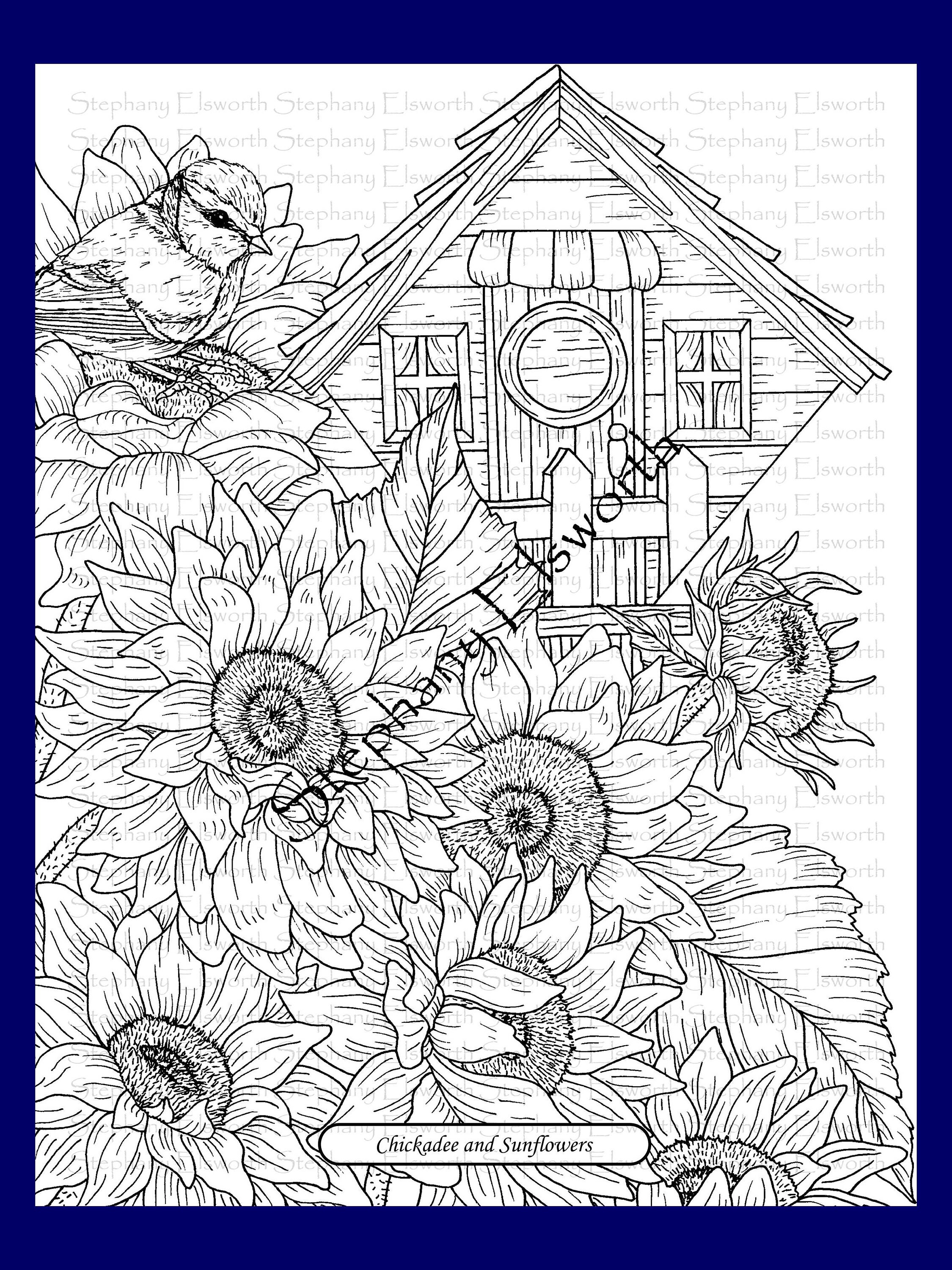 Download Blossoms And Birds Set 2 Pdf Coloring Book Pages 6 10 Etsy