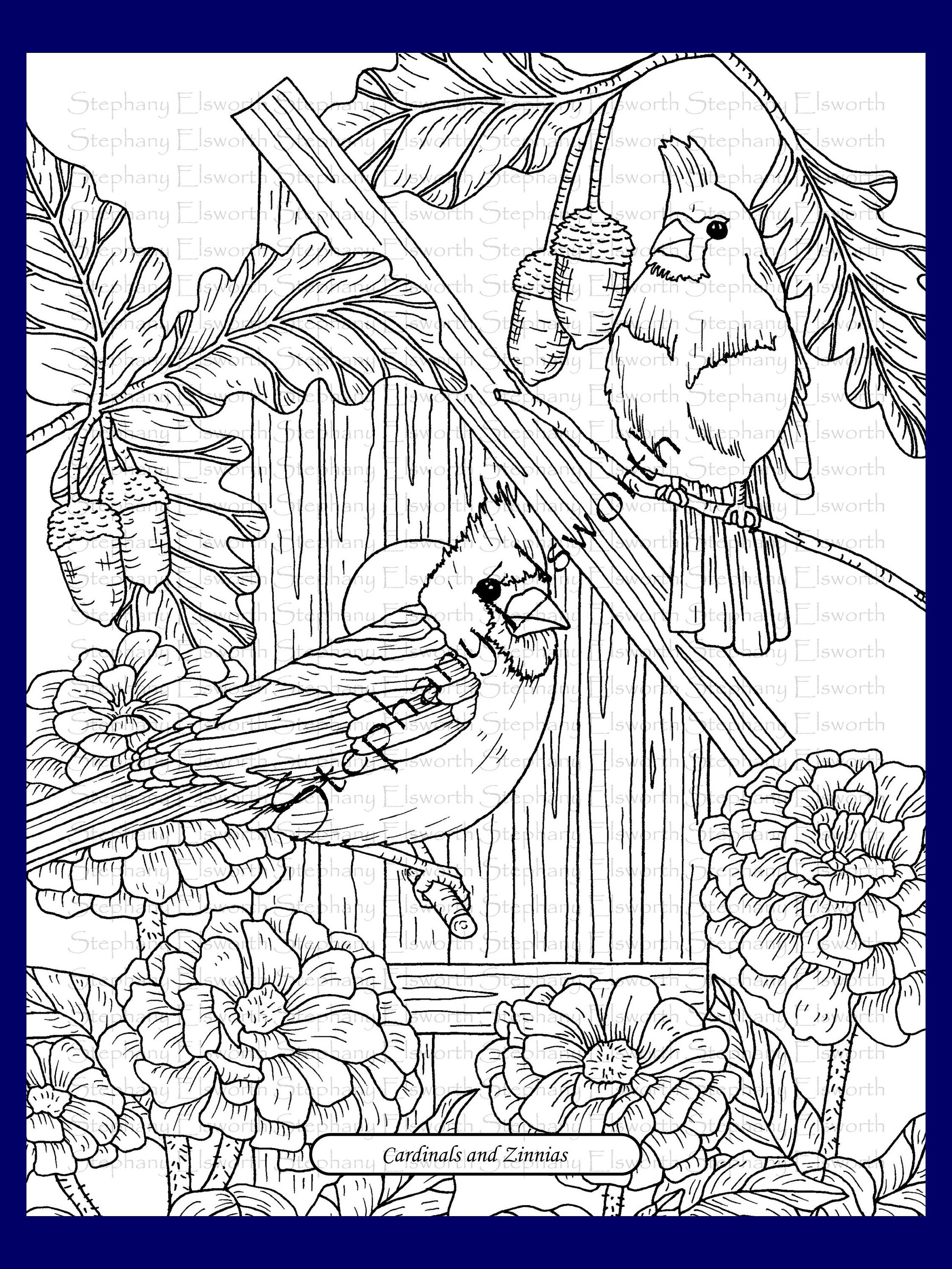 Download Blossoms And Birds Set 1 Pdf Coloring Book Pages 1 5 Etsy