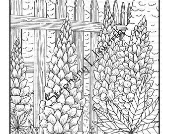 Malvarose e recinzione - Pagina da colorare stampabile a download immediato, formato 8 1/2 x 11