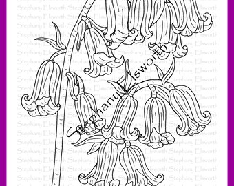 Bluebells 8 1/2 x 11 Printable Instant Download Coloring Page