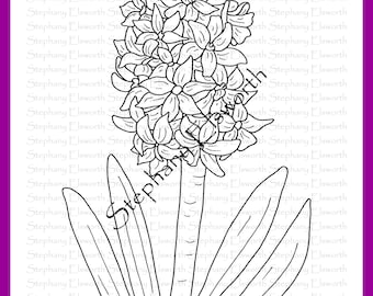 Libro da colorare PDF Fiori gioiosi, pagine 16-20