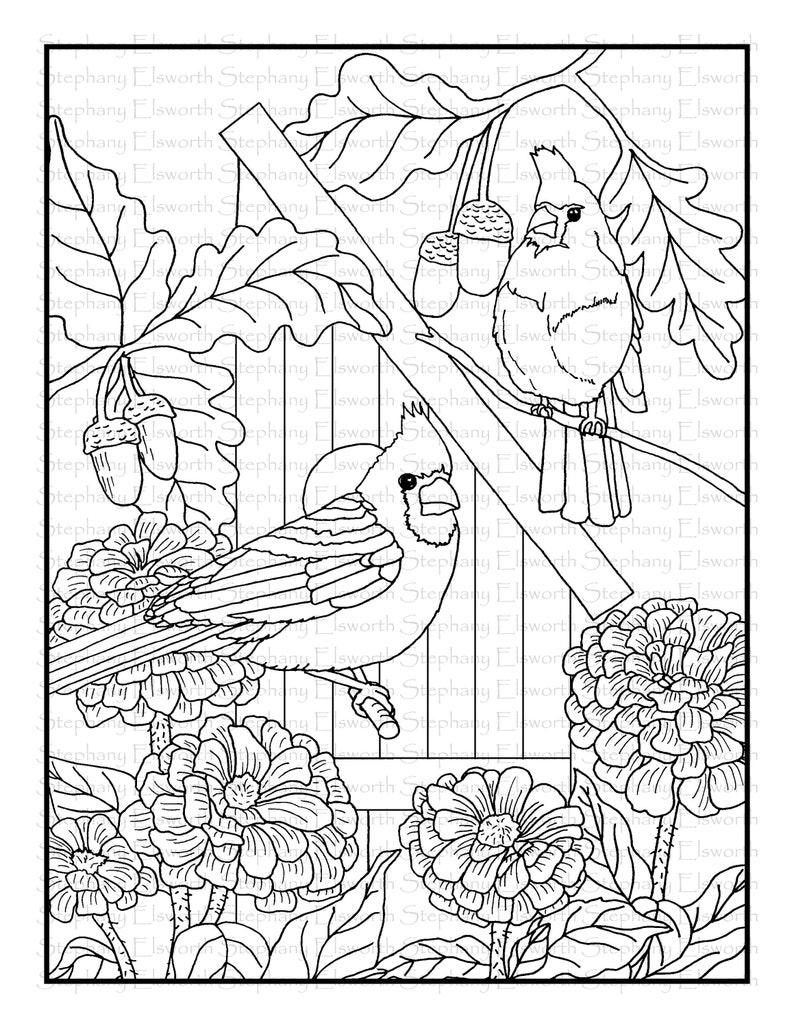 Download Blossoms and Birds Set 1 PDF Coloring Book Pages 1-5 | Etsy