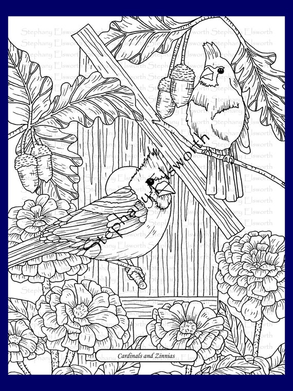 Cardinals and Zinnias 8 1/2 x 11 Printable Instant Download Coloring Page