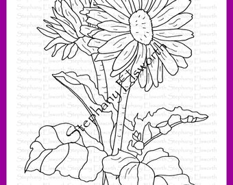 Set di libri da colorare PDF Joyful Blossoms 3 pagine 11-15