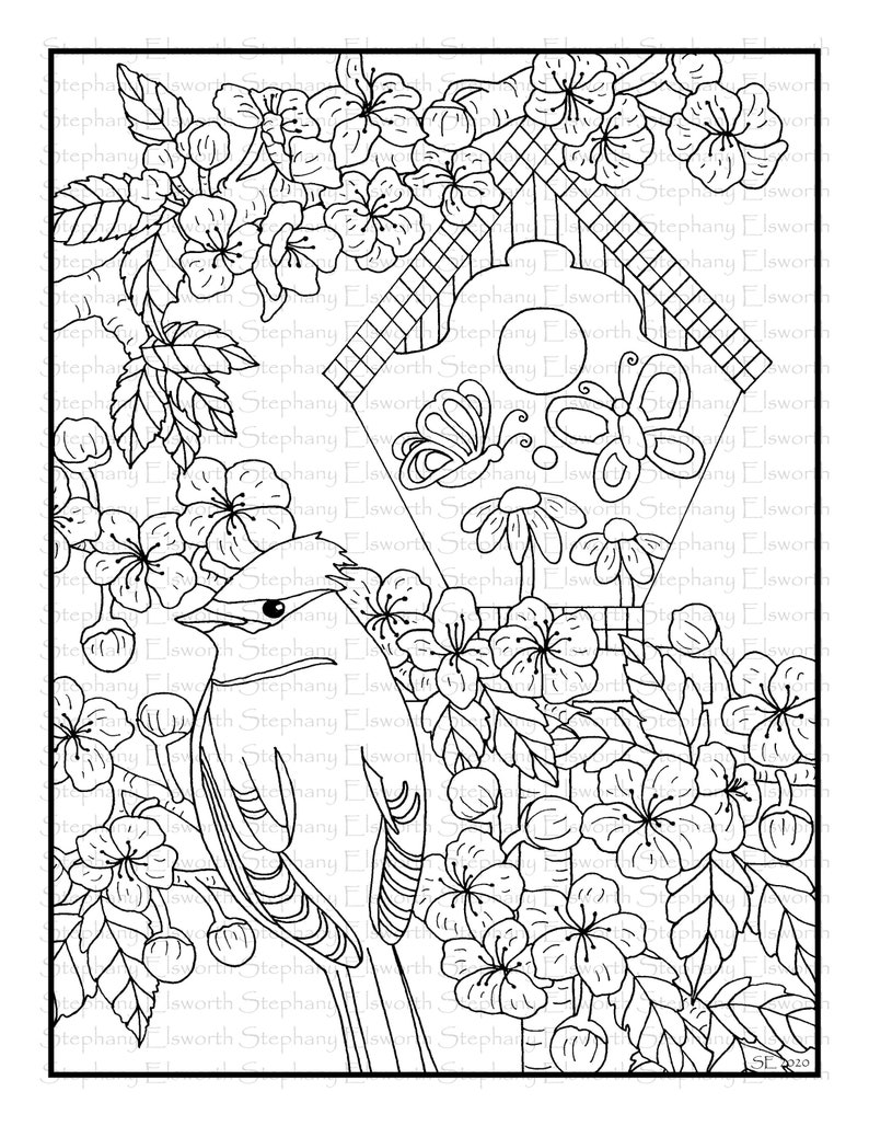 Download Blossoms and Birds Set 5 PDF Coloring Book Pages 21-25 | Etsy