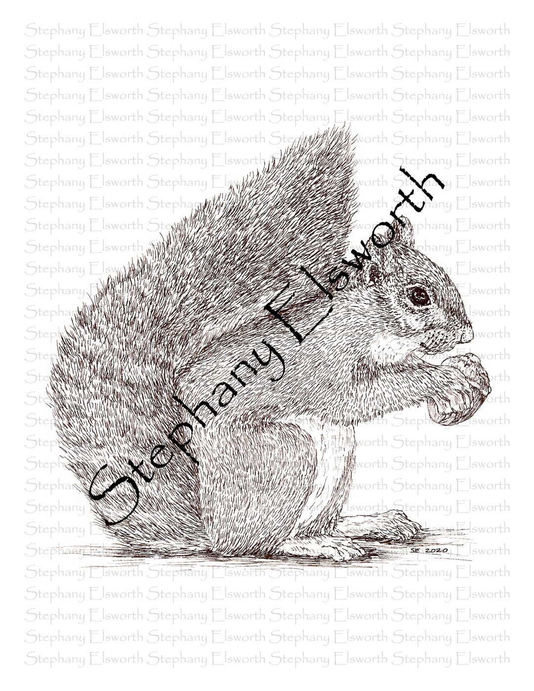 Gray Squirrel Grayscale Printable Digital Download Coloring - Etsy