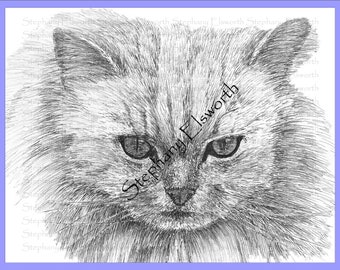 Página para colorir de gato persa 8 1/2 x 11 para impressão instantânea e download instantâneo em escala de cinza