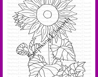 Pagina da colorare di download immediato stampabile di girasole 8 1/2 x 11