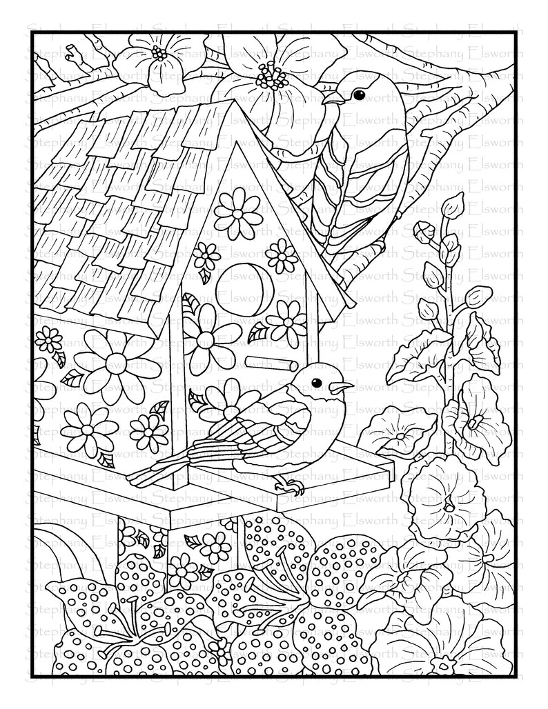 Download Blossoms and Birds Set 1 PDF Coloring Book Pages 1-5 | Etsy