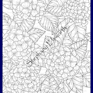 Op de afbeelding: Een zwart-wit kleurplaat met lijntekeningen van hortensiabloemen en gekartelde bladeren. De tekst 'Stephanie Elsworth' is vaag herhaald over het ontwerp en de woorden 'Hydrangea Flowers' staan onderaan de afbeelding weergegeven.