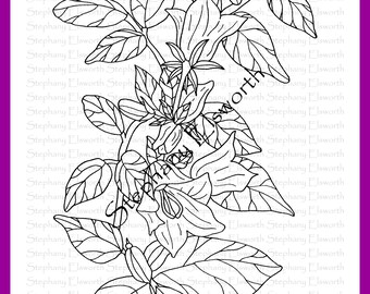 Libro da colorare PDF Fiori gioiosi, pagine 1-5