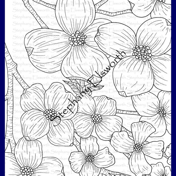 Dogwood Blossoms 8 1/2 x 11 Printable Instant Digital Download Adult Coloring Page